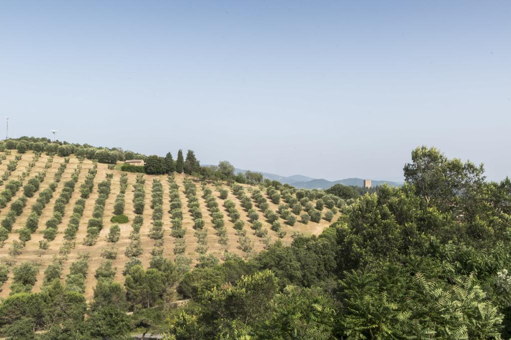 Agriturismo Borgo Spagnoli Magione Exterior foto